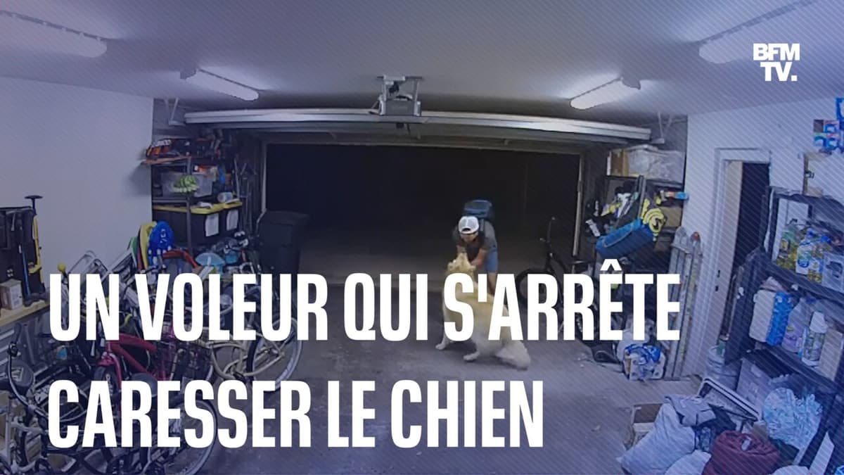 placeholder video