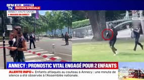 Attaque au couteau à Annecy: que sait-on du suspect? 