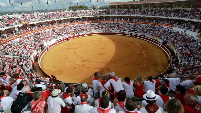 Tauromachie: le député Aymeric Caron espère porter l'estocade finale aux corridas
