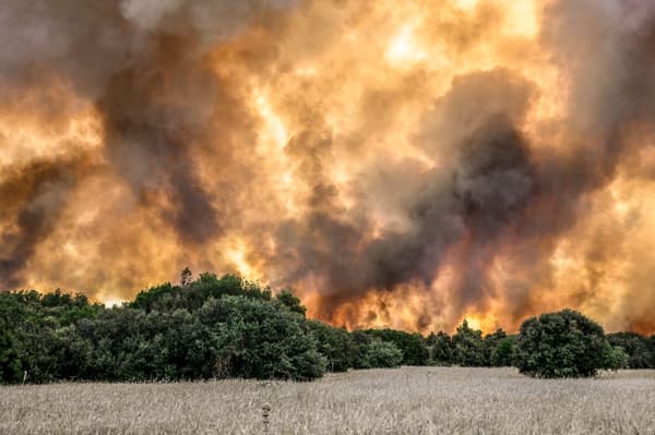 Des incendies ravagent les champs près du village de Pournari, à environ 25 km au sud-ouest d'Athènes, en Grèce, le 18 juillet 2023. 