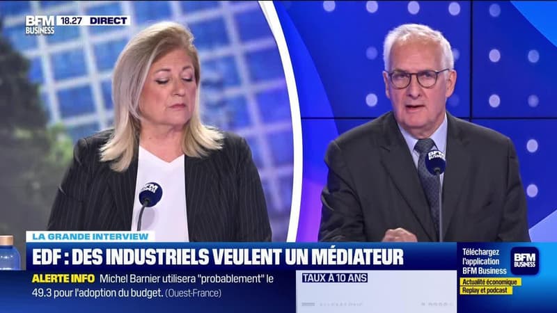 Nicolas de Warren (Uniden) : Bras de fer entre les industriels et EDF - 14/11