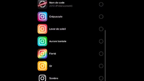 Parmi les icônes proposés, l'ancien logo d'Instagram en forme d'appareil photo. 