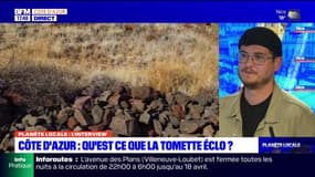 Planète locale du lundi 24 avril - Qu'est ce que la Tomette éclo ? 