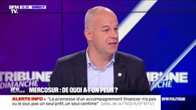 Mercosur : "Nous ne voulons pas d'une agriculture importée qui ne respecte pas nos standards", Arnaud Rousseau - 17/11