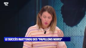 Le succès inattendu des "Papillons noirs" - 29/09