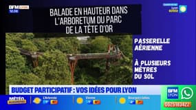 Budget participatif: vos idées pour Lyon
