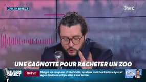 #Magnien, la chronique des réseaux sociaux : Une cagnotte pour acheter un zoo - 23/12