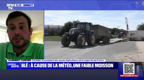 À cause des intempéries, la récolte de blé tendre au plus bas depuis 1983 en France