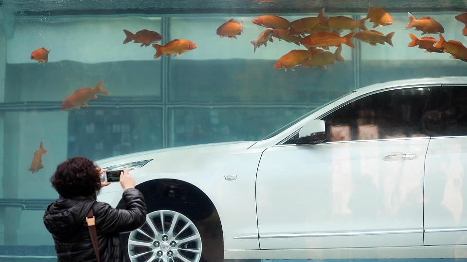 La CT6 est exclusivement pensée pour le marché chinois, ou Cadillac accuse un grand retard face à ses concurrents, allemands notamment. 