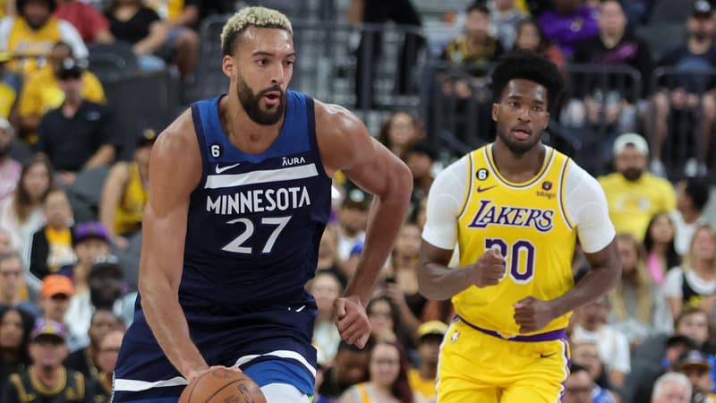 Rudy Gobert 