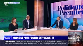 ÉDITO - La Commission européenne propose de renouveler l'autorisation du glyphosate pour 10 ans