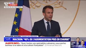 Emmanuel Macron: "Beaucoup de nos artisans ont autre chose à faire que d'aller chercher sur Internet des tableaux incompréhensibles"