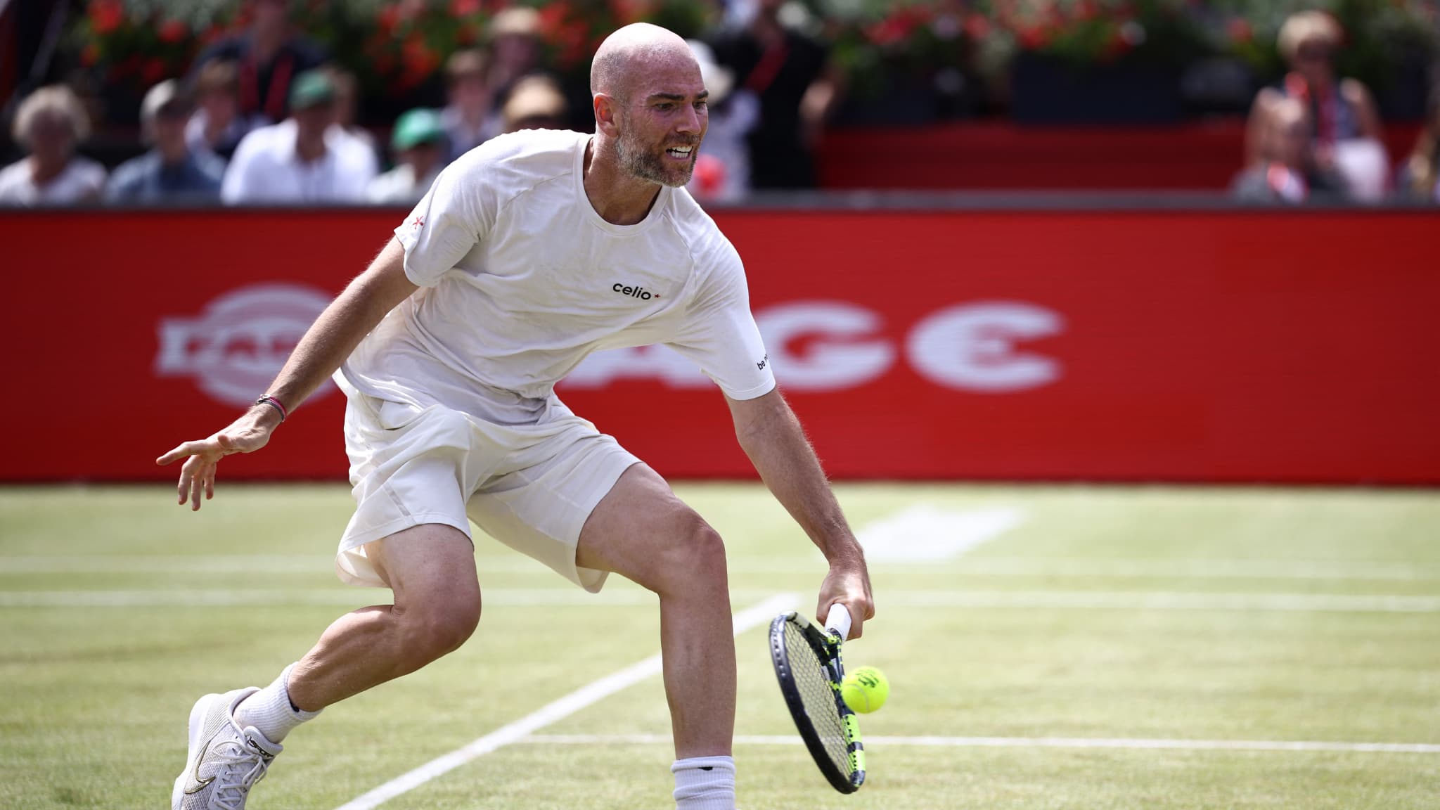 Queen's: Adrian Mannarino s'offre un record très vert avant Wimbledon