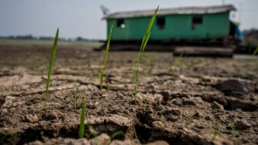 Un terrain desséché le 23 octobre 2015 à Manaus au Brésil Un terrain desséché le 23 octobre 2015 à Manaus au Brésil
