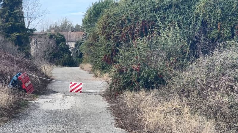 Le domaine de la Clémentine, à Manosque.