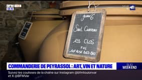 Passions Provence du samedi 24 février 2024 - Commanderie de Peyrassol : art, vin et nature