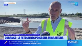 Durance : la plus grande passe à poissons de la région inaugurée ce mardi