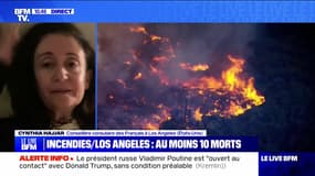 Incendies/Los Angeles : au moins 10 morts - 10/01