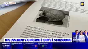 Strasbourg: des ossements africains étudiés à l'université