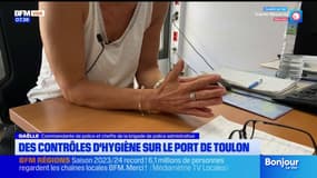 Toulon: les inspections d'hygiène et de sécurité se multiplient cet été dans les commerces autour du port