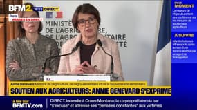 "La France n'a pas cessé de peser": Annie Genevard défend la position du pays après la validation de l'accord sur le Mercosur