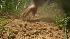 Un agriculteur de Loire-Atlantique montrant la sécheresse du sol au milieu de ses culture, en avril 2021