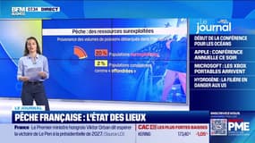 Pêche française : l'état des lieux