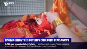 Couleurs de l'année: qui imaginent les nouvelles tendances ?