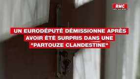 Un eurodéputé démissionne après avoir été surpris dans une "partouze clandestine"