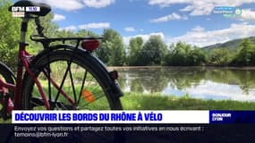 Au fil de l'eau: découvrir les bords du Rhône à vélo