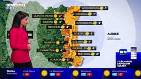 Météo Alsace: du givre et des températures négatives sont à prévoir ce samedi en Alsace