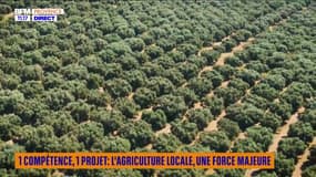 1 compétence, 1 projet : l'agriculture locale, une force majeure