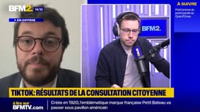 "Une vigilance des jeunes": Arthur Delaporte (PS) présente les résultats de la consultation citoyenne de la commission d'enquête sur Tiktok