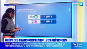Grève dans les transports franciliens: seules quelques lignes sont perturbées