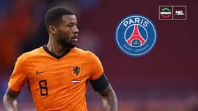 Mercato : Wijnaldum va signer au PSG plutôt qu'au Barça
