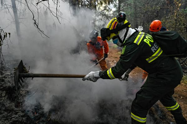 Un policier combat un feu de forêt à Nemocon, en Colombie, le 24 janvier 2024.