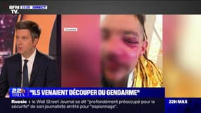 Laurent-Franck Liénard: "Les gendarmes à Sainte-Soline me disent qu'ils n'avaient jamais vu des bandes aussi organisées et guerrières" - 30/03