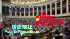 Le Rassemblement national, le Front populaire et Ensemble pour la République sont les trois principaux blocs en lice pour obtenir une majorité à l'Assemblée lors des élections législatives des 30 juin et 7 juillet.