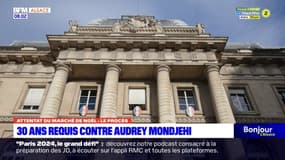 Procès de l'attentat du marché de Noël de Strasbourg: 30 ans de prison requis contre le principal accusé, Audrey Mondjehi