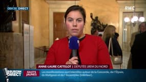 Menaces, permanences taguées, les députés LREM pris pour cible par les "gilets jaunes"