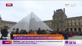 Le musée du Louvre est dans un "état affligeant" 