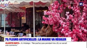 La mairie de Paris va réguler la présence de fleurs artificielles sur les façades