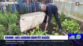 Isère: à Vienne, les jardins de Saint-Alban bientôt rasés