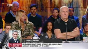 Les GG veulent savoir : Le maire de Montpellier interdit les cirques avec des animaux sauvages, a-t-il raison ? - 29/11