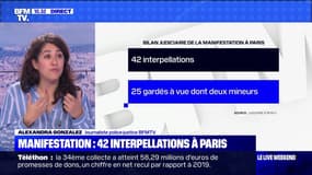Manifestation : 42 interpellations à Paris - 06/12