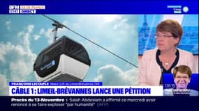 Val-de-Marne: les travaux du téléphérique encore retardés, la maire de Limeil-Brévannes dénonce la situation