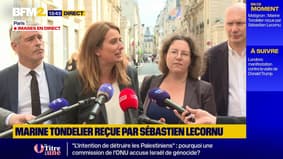 Consultations avec Sébastien Lecornu : les Écologistes arrivent à Matignon