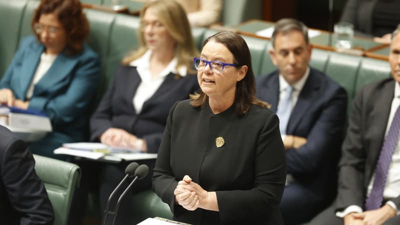 "Ce travail a pris un caractère d'urgence": la ministre australienne des Ressources assure que la France envisage d'investir dans les minéraux critiques du pays
