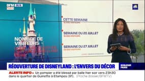 Réouverture de Disneyland Paris : l'envers du décor pour les salariés !