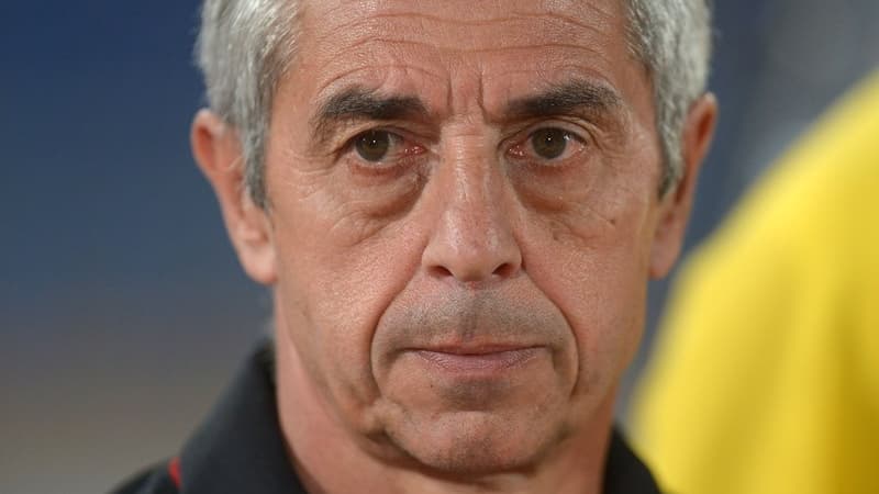 Alain Giresse